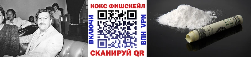 купить наркотики сайты  Цимлянск  Cocaine Эквадор 