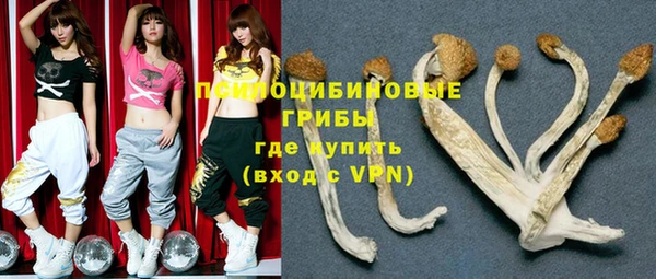 винт Лиски
